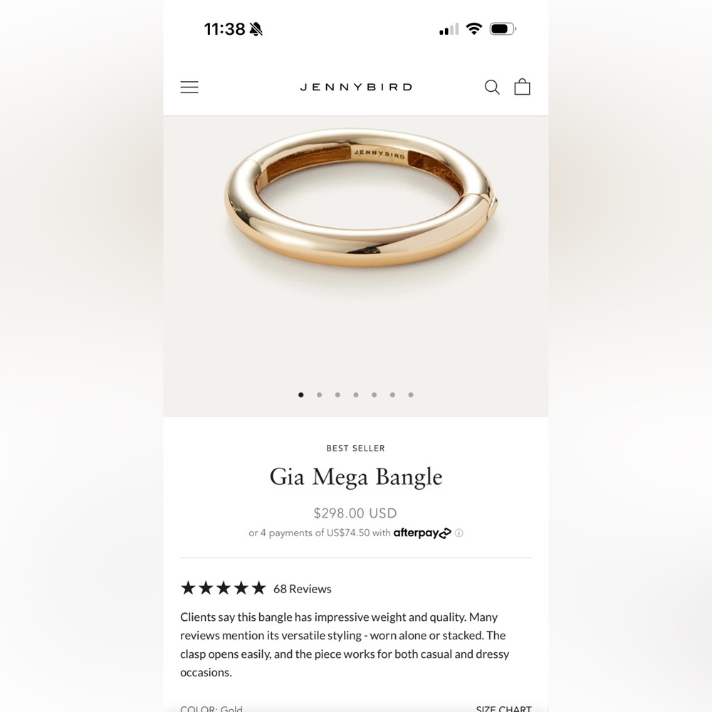 Jenny Bird Gold Gia Mega Bangle Bracelet